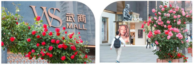 oety欧亿体育·(中国游)官方网站